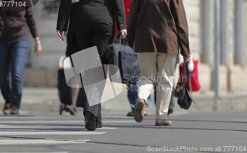 Image of Legs and bags