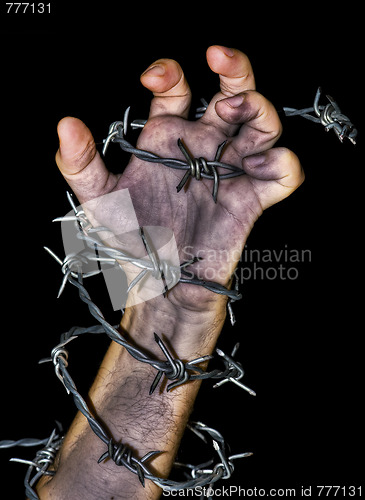 Image of hand grabbing a barbed wire