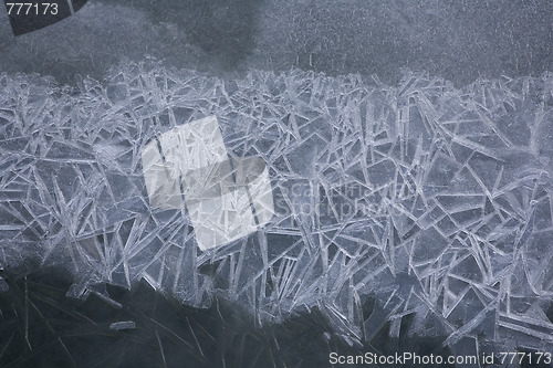 Image of Winter in Denmark