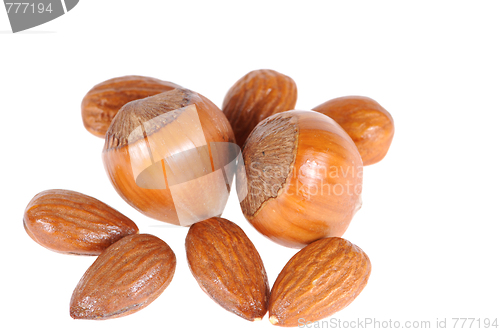 Image of hazelnuts