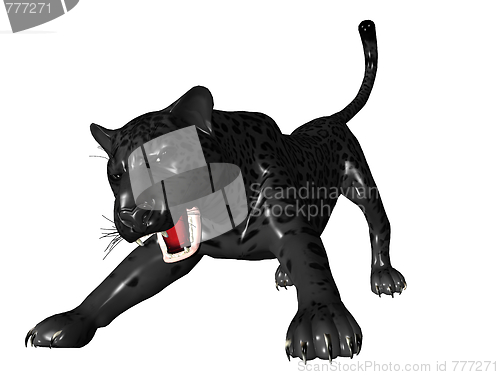 Image of Agressive black panther front view