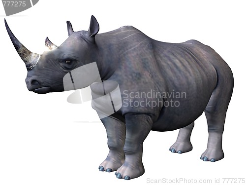 Image of Rhinoceros