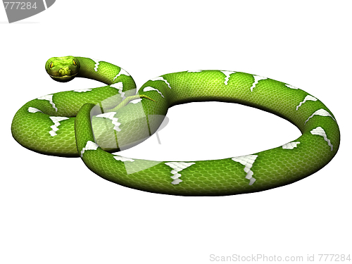 Image of Defending green python