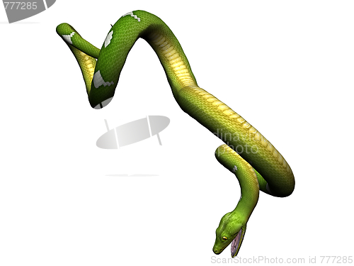 Image of Hanging green python