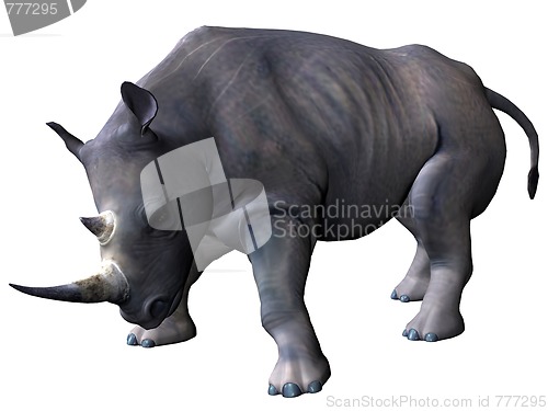 Image of Charging rhinoceros