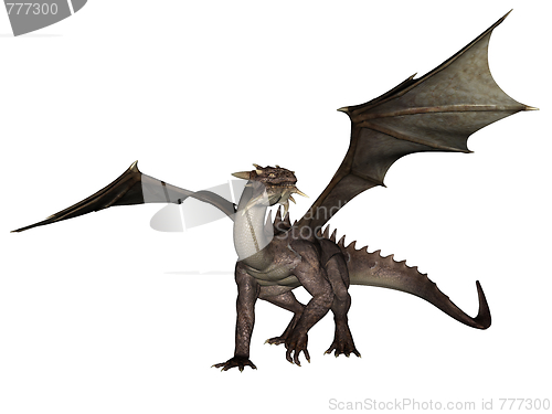 Image of Dragon