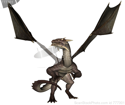 Image of Dragon