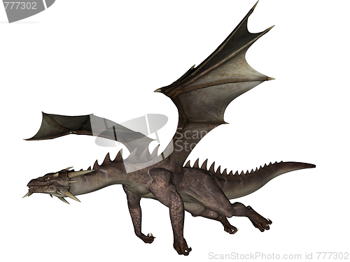 Image of Dragon