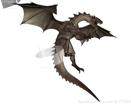 Image of Dragon