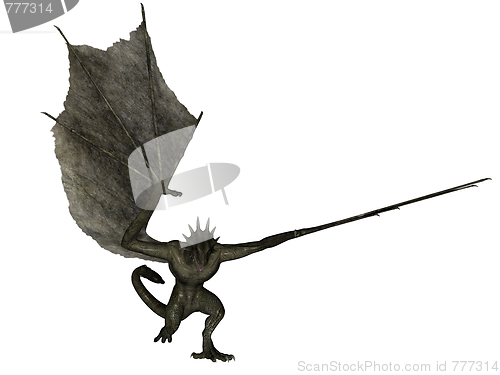 Image of Charging wyvern