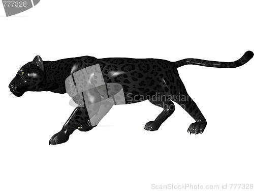 Image of Stalking black panther