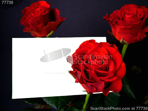 Image of Roses with card