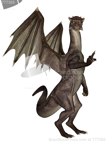 Image of Dragon