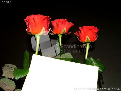 Image of Roses with card 1