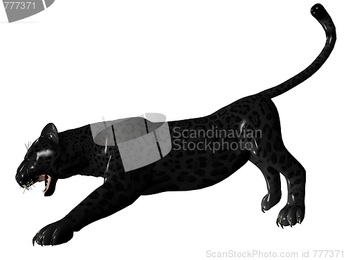 Image of Agressive black panther