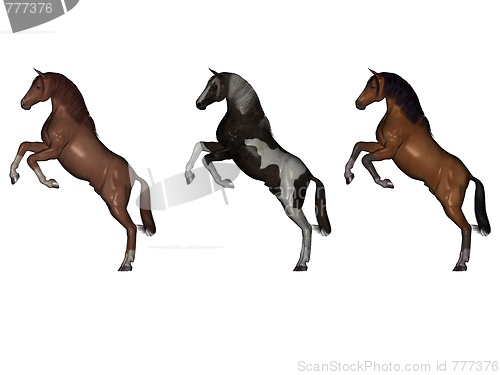 Image of Rear horses