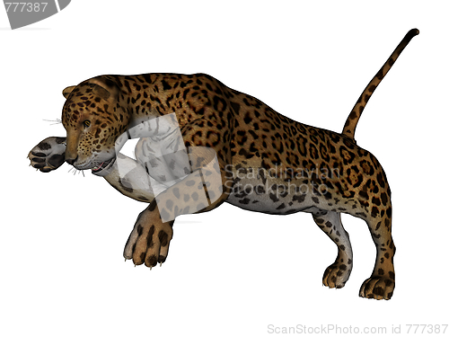 Image of Jaguar