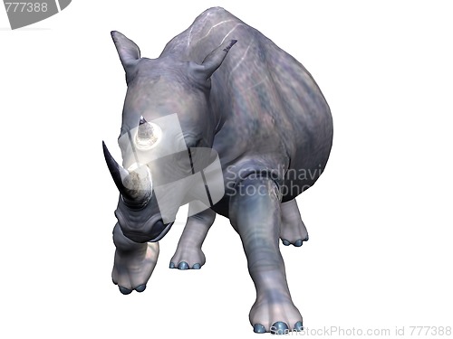 Image of Charging rhinoceros