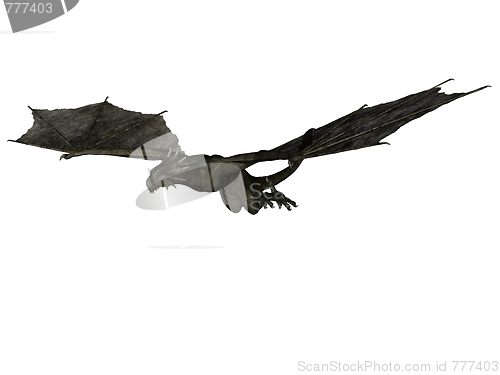 Image of Flying wyvern