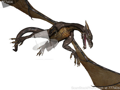 Image of Flying dragon
