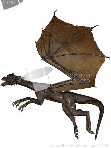 Image of Flying dragon