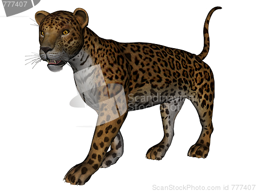 Image of Jaguar