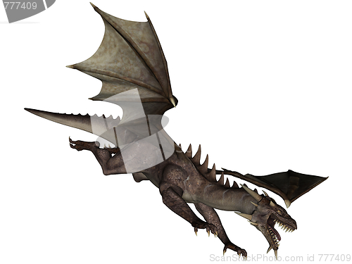 Image of Dragon