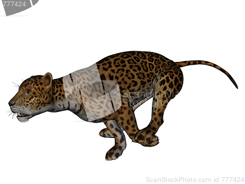 Image of Jaguar