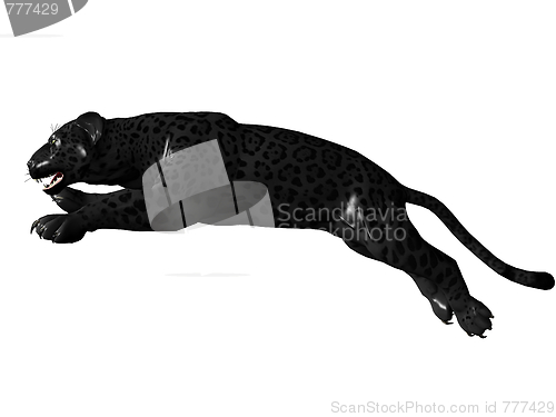 Image of Jumping black panther