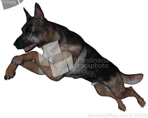 Image of German shepherd dog