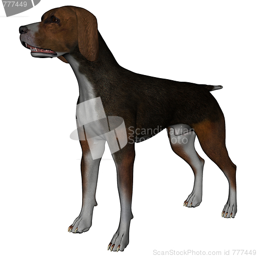 Image of Hound