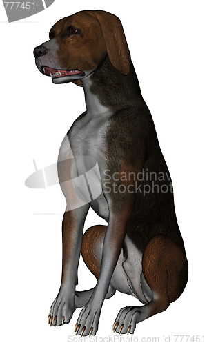Image of Hound