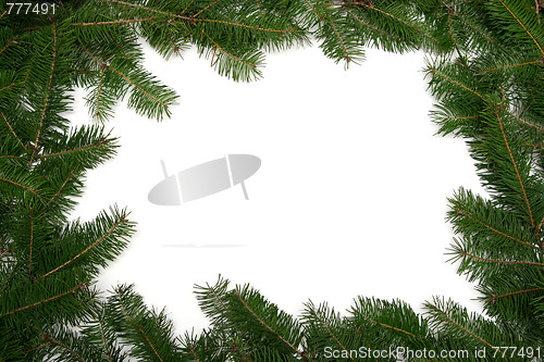 Image of Christmas tree frame