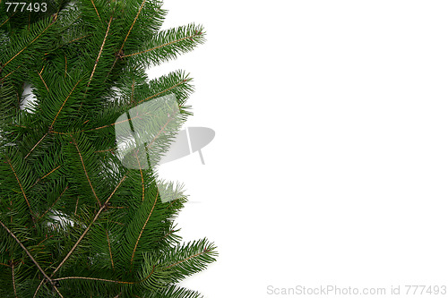 Image of Christmas tree frame