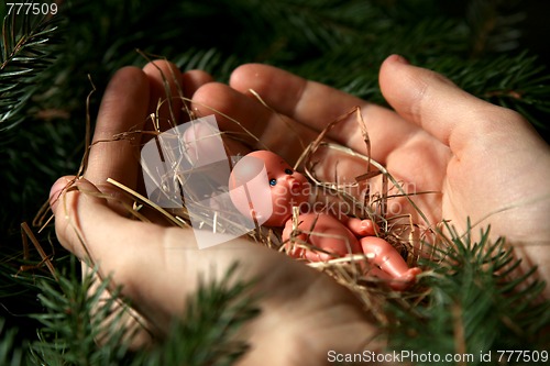 Image of Infant