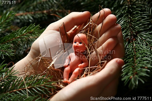 Image of Infant