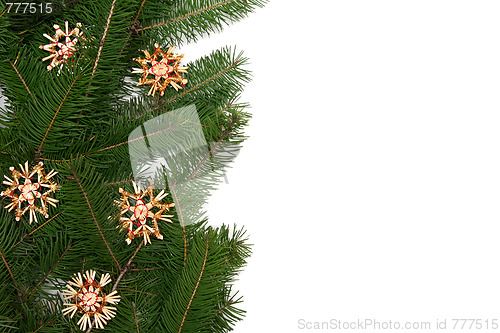 Image of Christmas tree frame