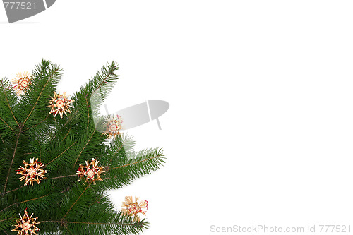 Image of Christmas tree frame