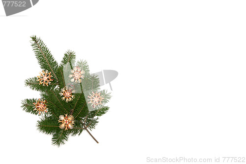 Image of Christmas tree frame