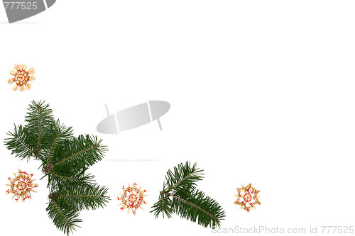 Image of Christmas tree frame