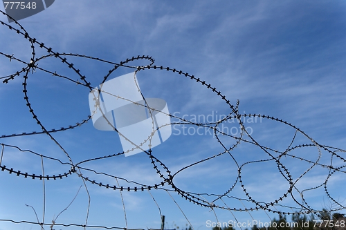 Image of Barbed tape or razor wire fence on sky background