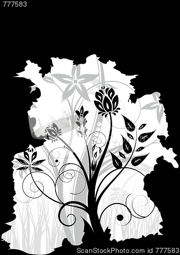 Image of floral background