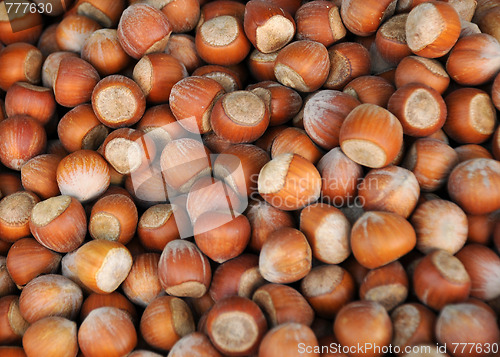 Image of Closeup Image of Unshelled Hazelnuts