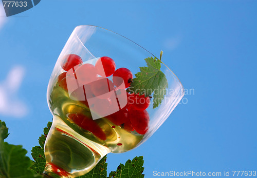 Image of Red Currant In The Wineglass