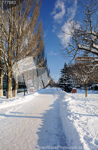 Image of Korolev Avenue in the Town of Korolev