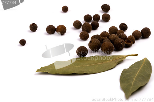 Image of aromatic pepper and bay leaves