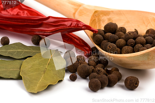 Image of spices