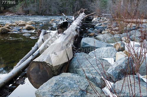 Image of Log