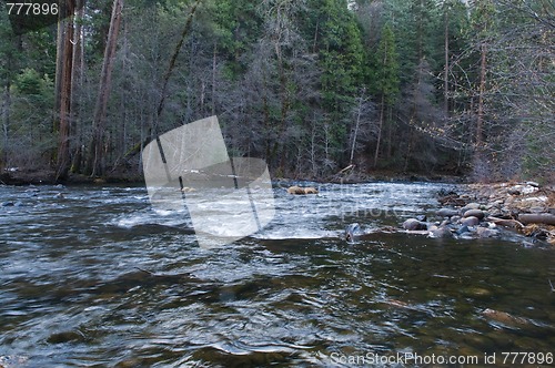 Image of Merced River