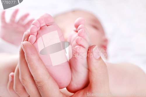Image of Newborn